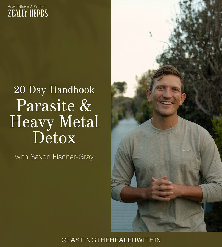 21 Day Detox and Heal Handbook + Full Health Consultation